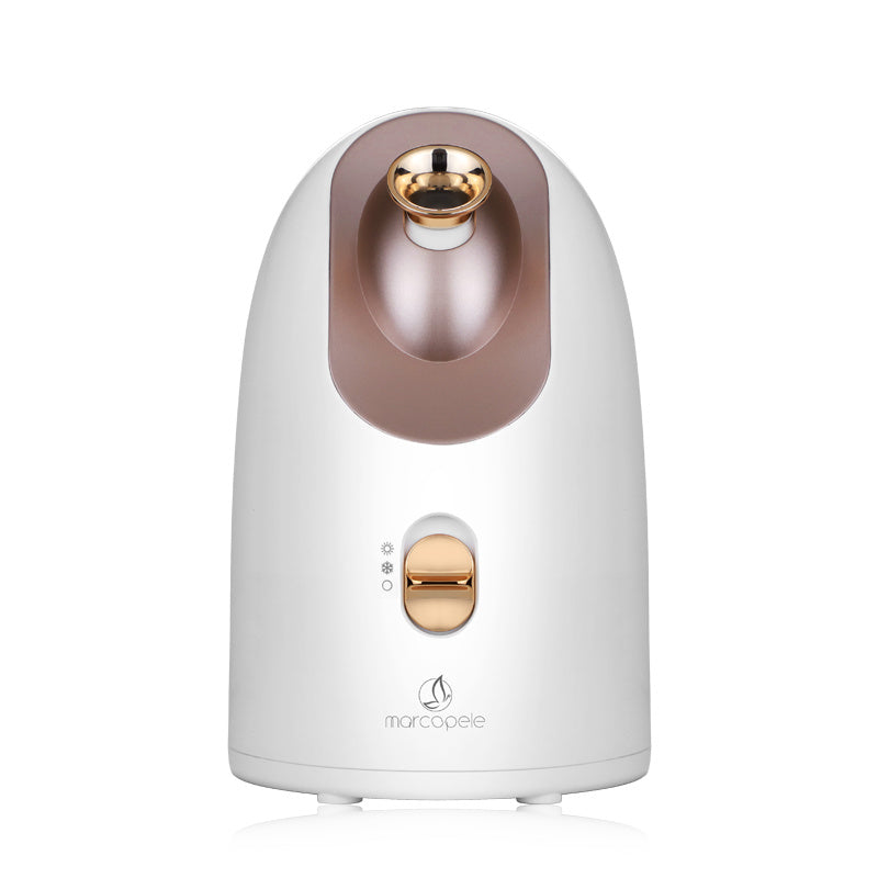 Electric Hot and Cold Face Steamer