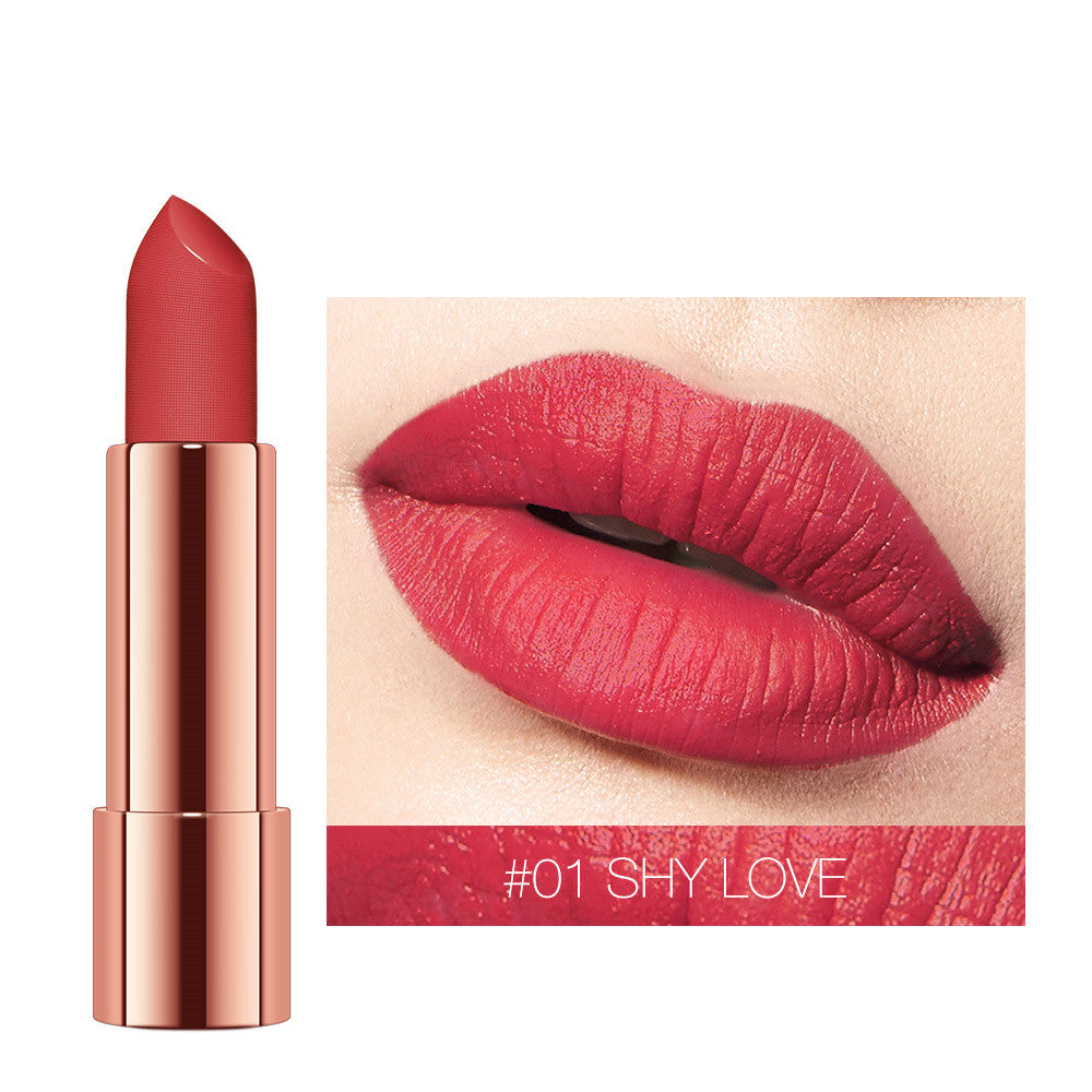 VelvetSilk Soft-Mist Matte Moisturizing Lipstick