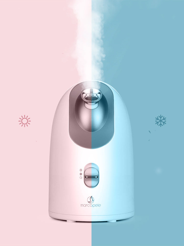 Electric Hot and Cold Face Steamer