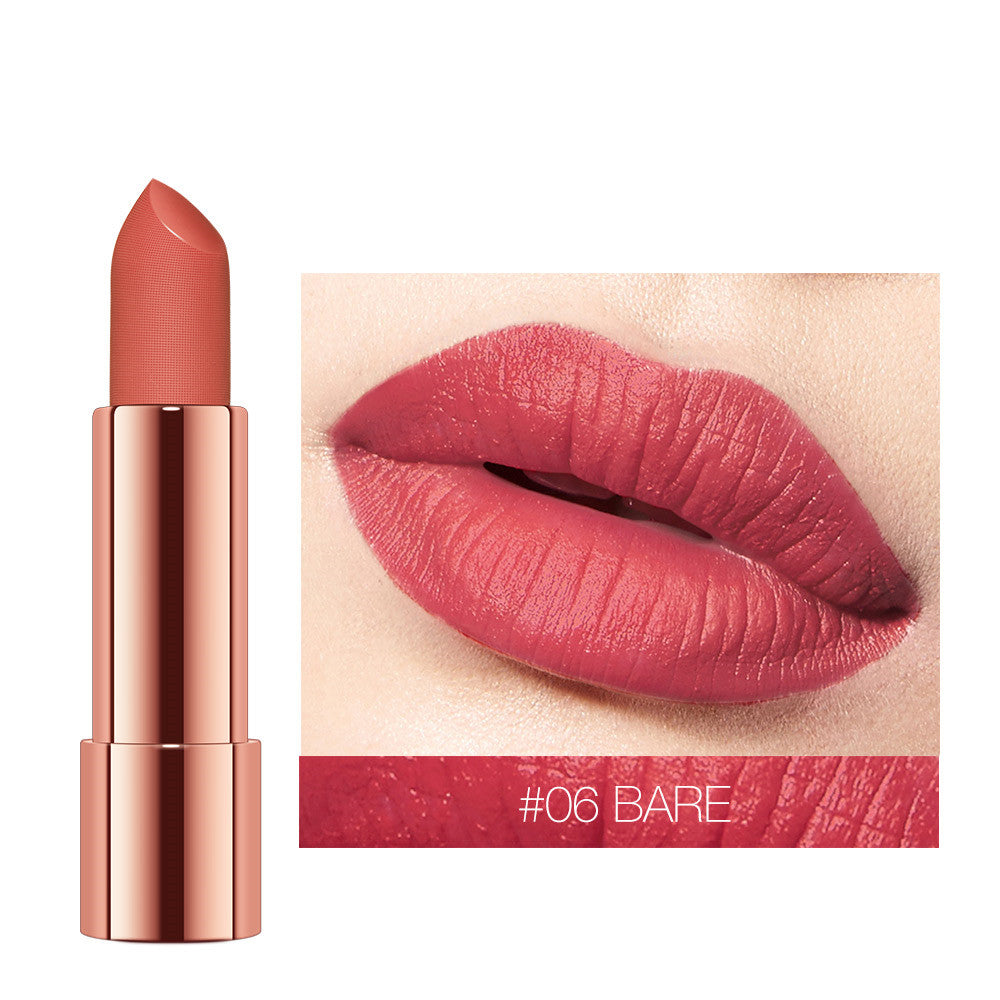 VelvetSilk Soft-Mist Matte Moisturizing Lipstick