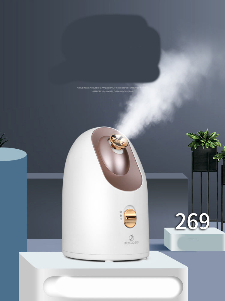 Electric Hot and Cold Face Steamer