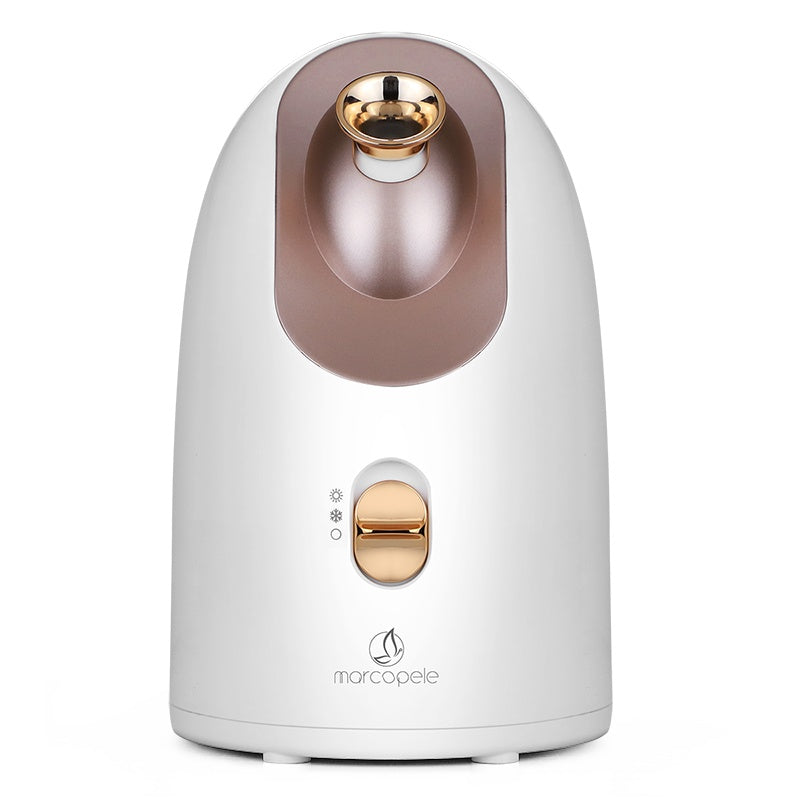 Electric Hot and Cold Face Steamer