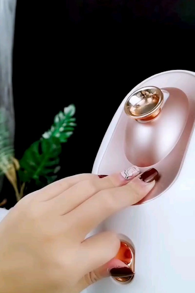 Electric Hot and Cold Face Steamer