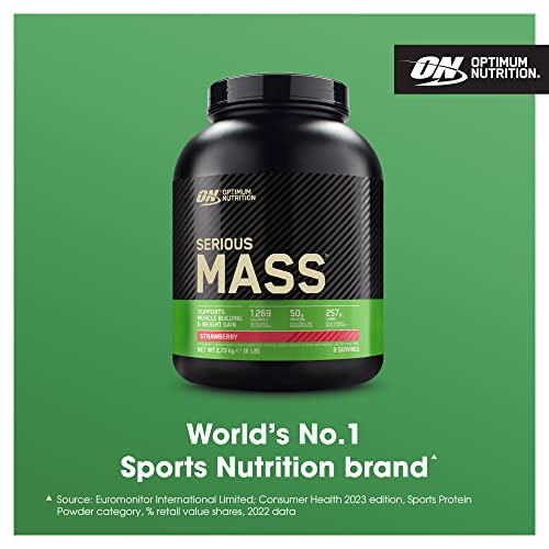 Optimum Nutrition Serious Mass  Gainer Protein Powder