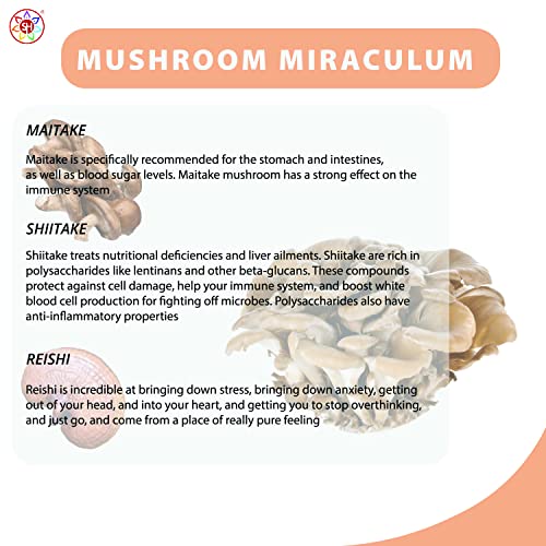 Shakra Health Mushroom Miraculum 90 Capsules