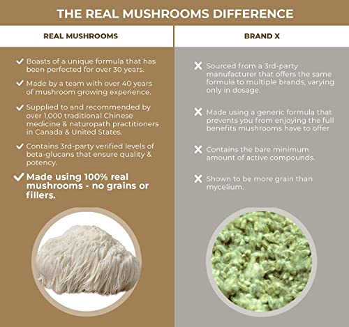 Lions Mane Mushroom Cognition Capsules