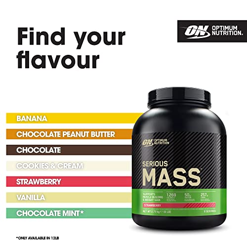Optimum Nutrition Serious Mass  Gainer Protein Powder