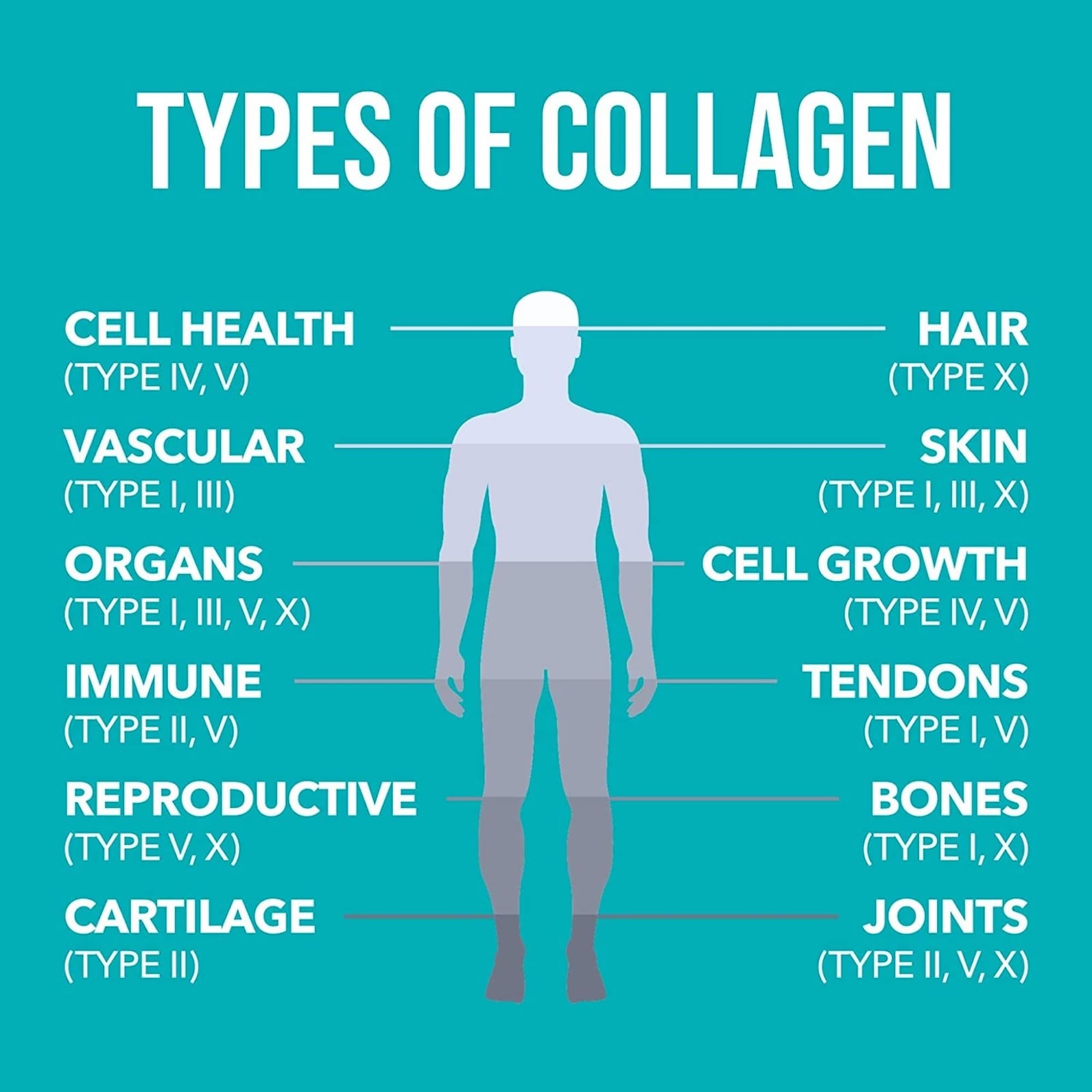 NaturesPlus Collagen Peptides Powder